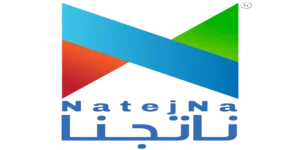 Success Partner Logo – Natejna